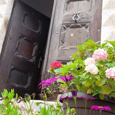 Apartment Pinia With Free Parking