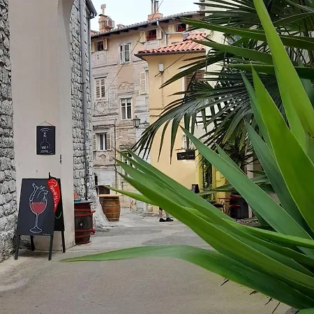 Pinia With Free Parking